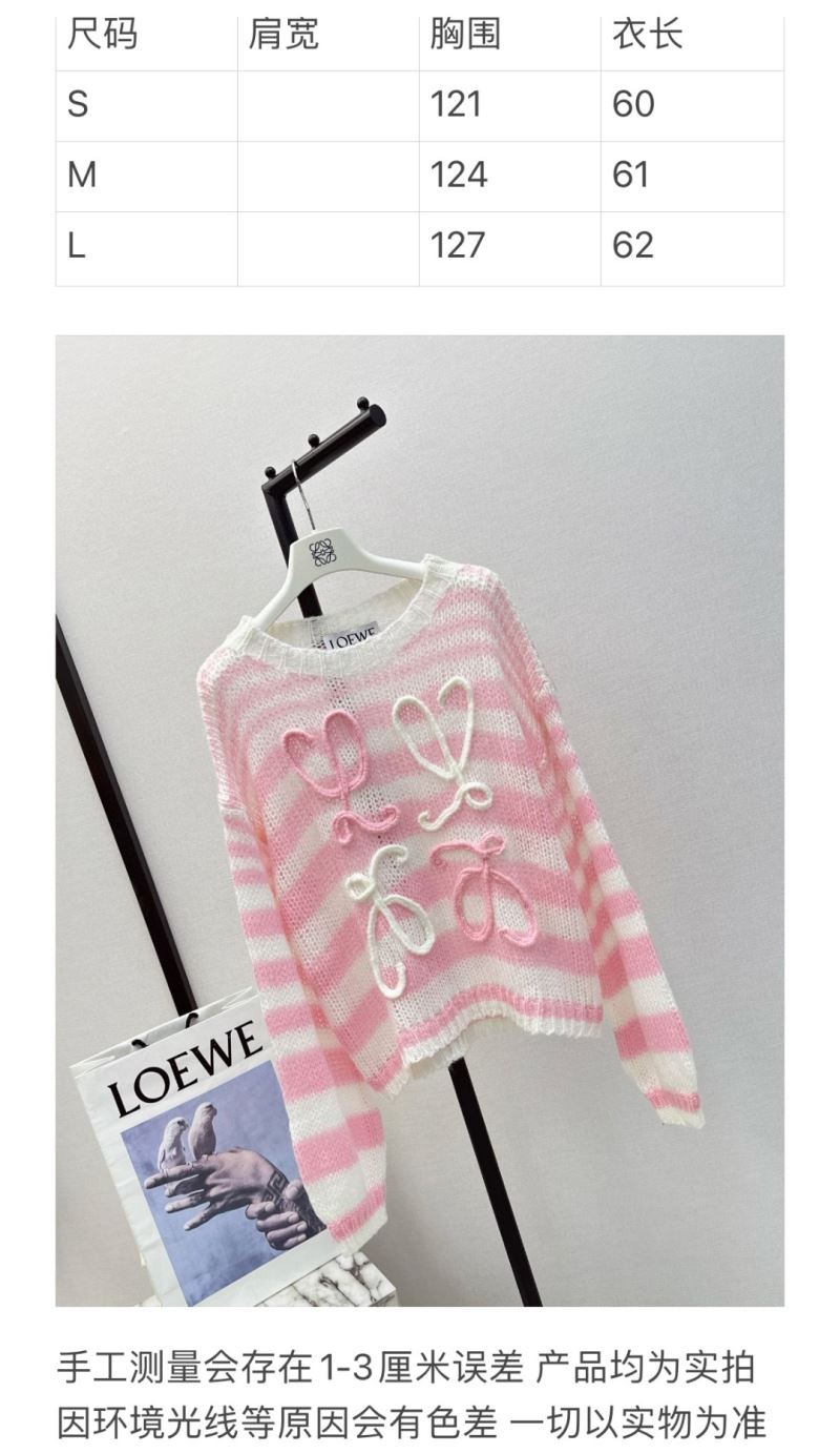 Loewe Sweaters